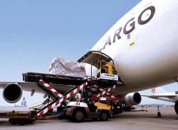 Air Freight Logistics Service