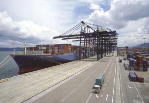 China China Sea Freight FCL Dropshipping Agent From Qingdao to Rijeka on sale 